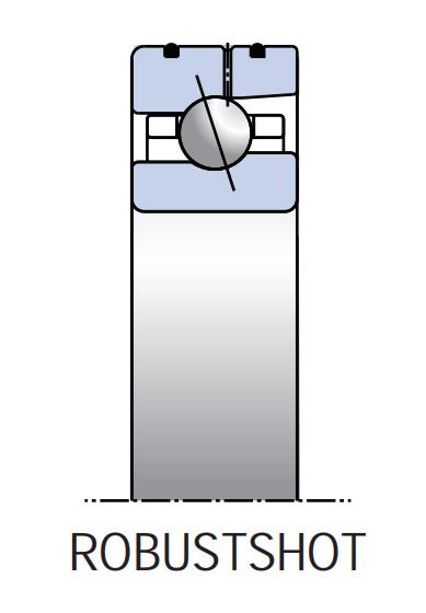 外圈供油轴承（ROBUST SHOT）